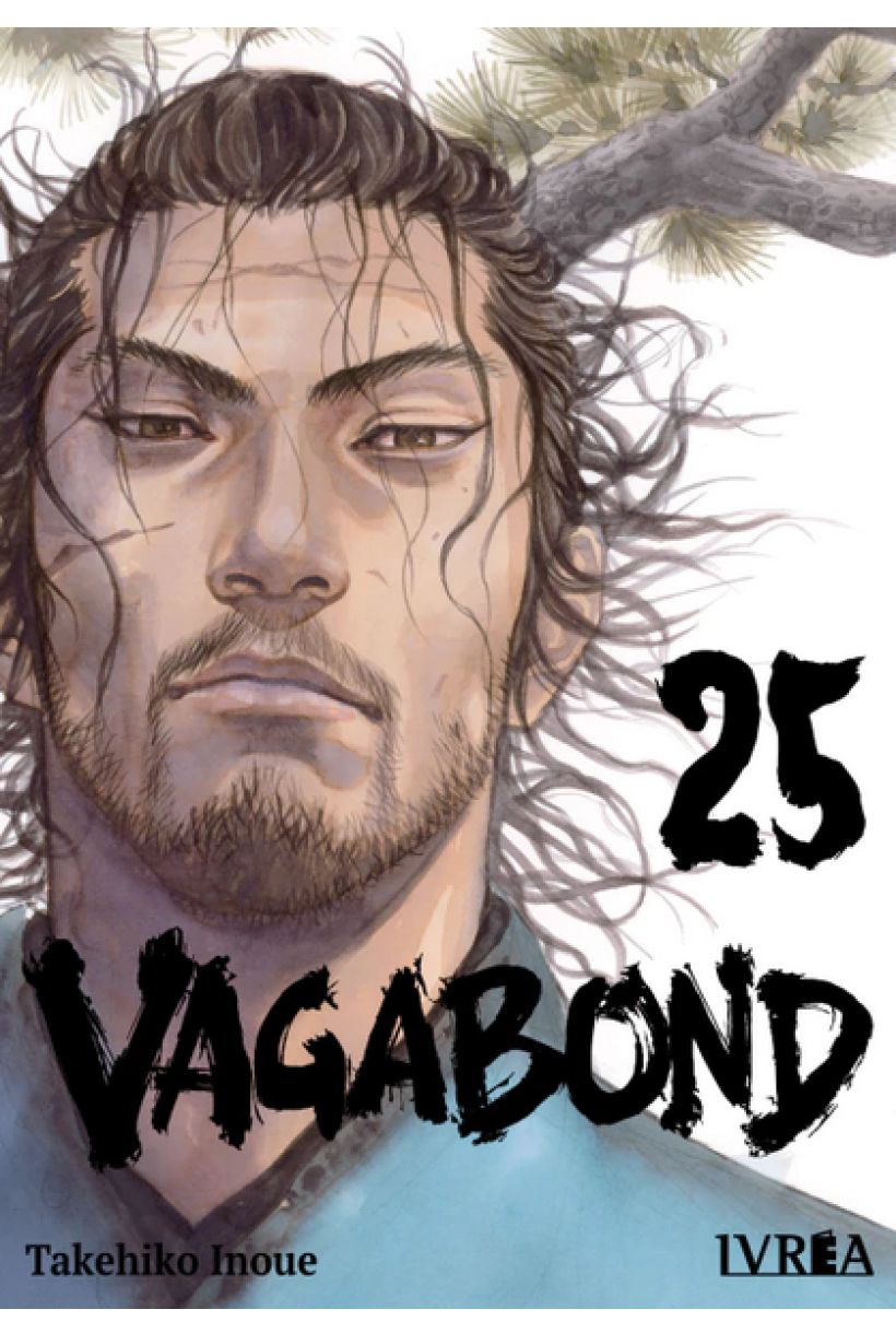 Vagabond 25