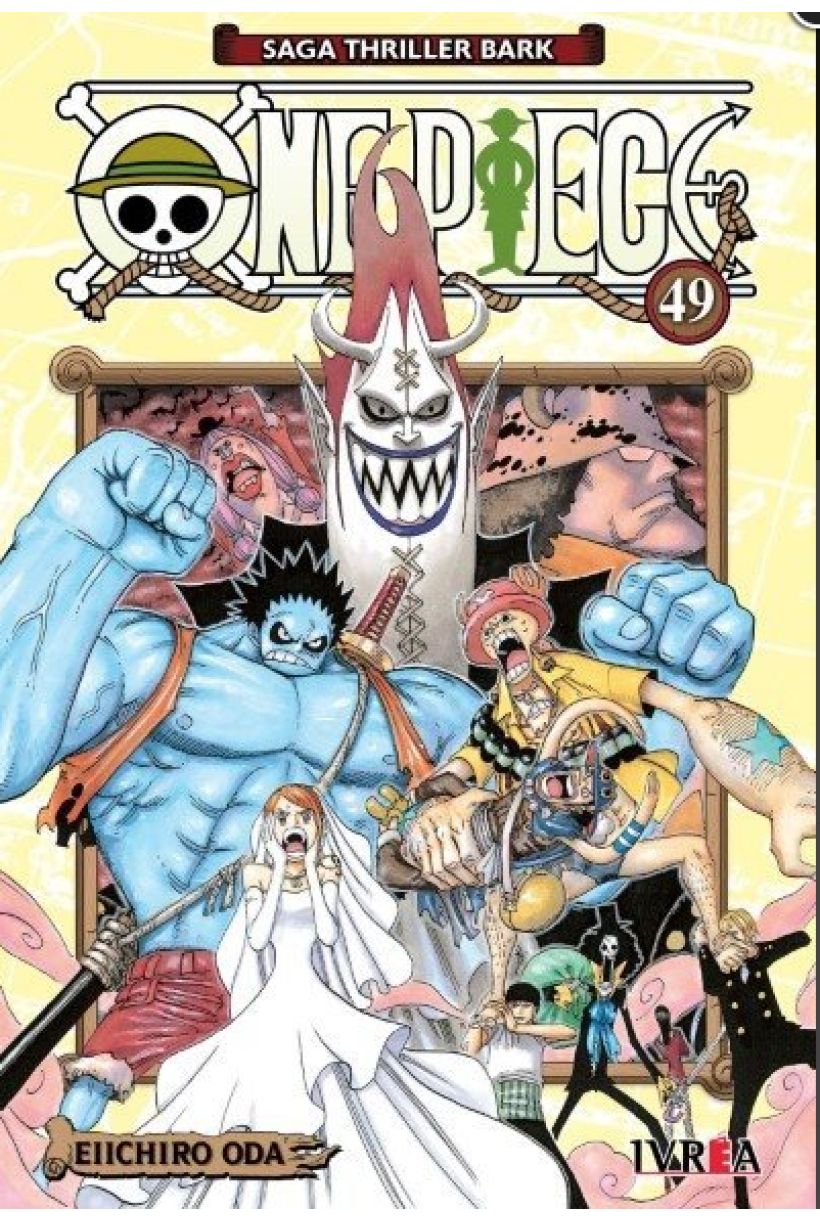 One Piece 49