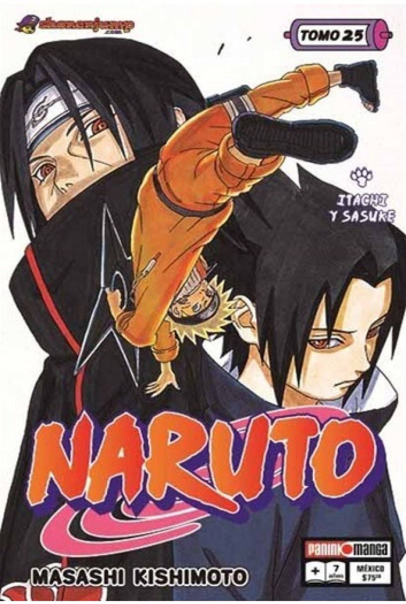 Naruto 25