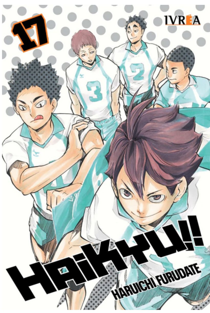 Haikyu 17