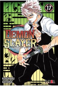 Demon Slayer 17