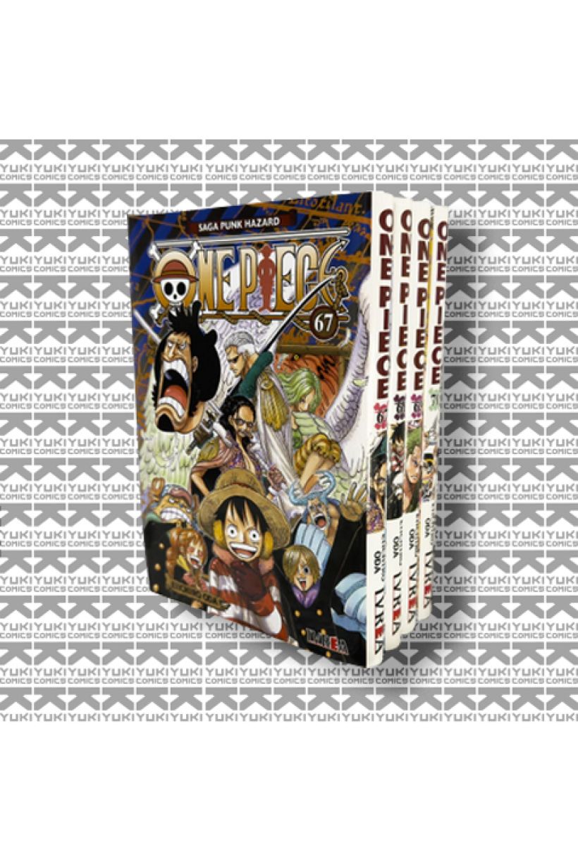 One Piece (8º Arco 