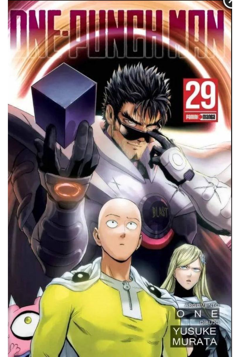 One Punch Man 29