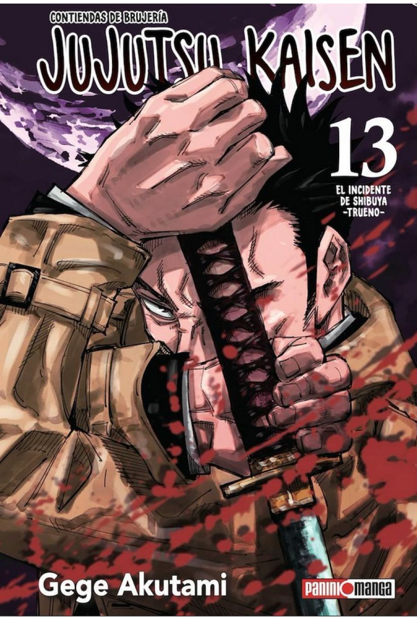 Jujutsu Kaisen 13