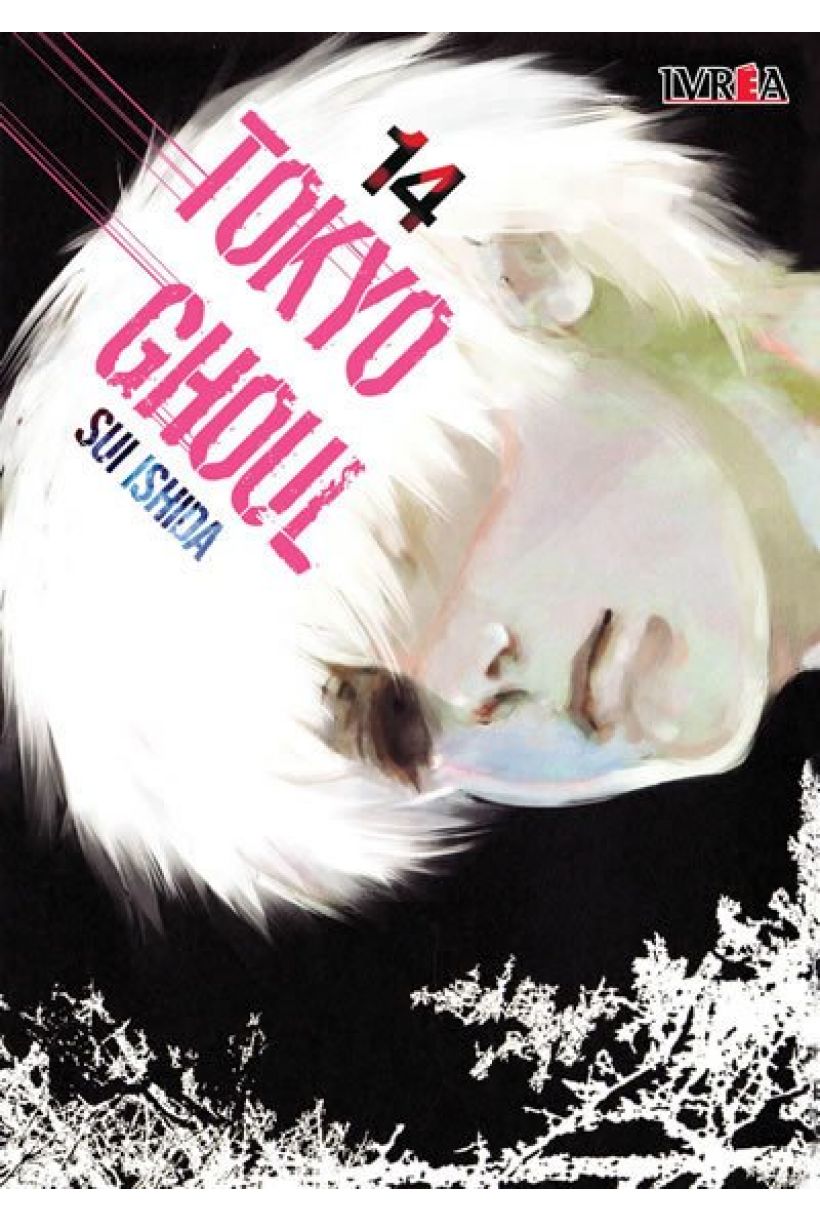 Tokyo ghoul 14