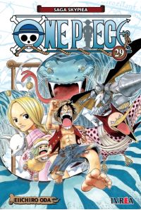 One Piece 29